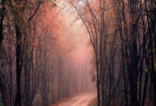 勒沃库森球员在比赛中表现得越来越出色