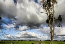 俄罗斯队实力抗衡,欧预赛前景引人期待