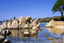 俄罗斯队实力抗衡,欧预赛前景引人期待