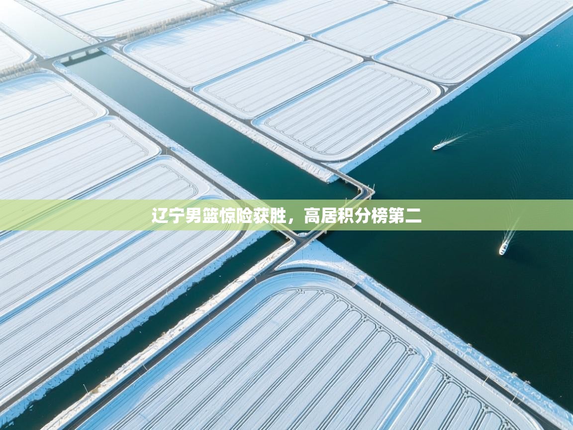 辽宁男篮惊险获胜,高居积分榜第二 第2张