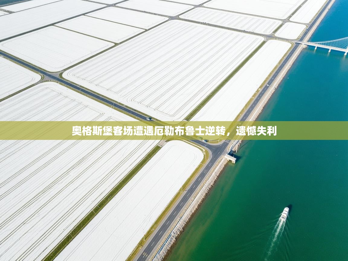 奥格斯堡客场遭遇厄勒布鲁士逆转,遗憾失利 第1张